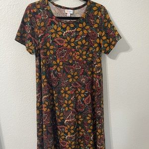 Lularoe Carly Size Small